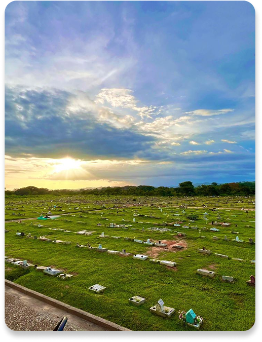 Jardines el Edén 3